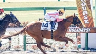 【東京2R新馬戦結果】エストレラブレインが抜け出し新馬勝ち