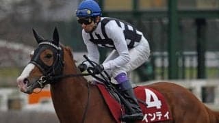 【本日の注目ポイント】上半期のダート王決定戦・フェブラリーS