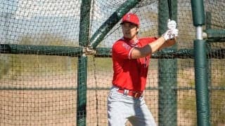 【MLB】大谷翔平、新打撃フォームは「率が残る可能性が高い」　初ライブBPで手応え