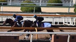 ダノンザキッド、弥生賞ディープインパクト記念1週前追い切り速報/栗東トレセンニュース