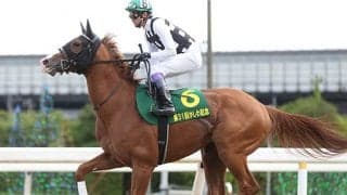 【次走】インティ、サンライズノヴァはかしわ記念を視野に