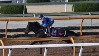 デアリングタクト、金鯱賞2週前追い切り速報/栗東トレセンニュース