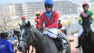 【次走】つばき賞で2勝目をあげたヴィゴーレはスプリングSへ