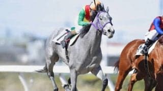 【若盛特別】ホエールキャプチャの仔トーセンマッシモが4勝目！