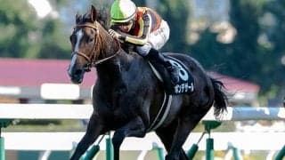 【JRA】重賞2戦連続3着のポンデザールが引退、繁殖入り