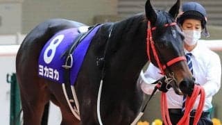 【次走】熊本産馬ヨカヨカは幸英明騎手と新コンビでフィリーズレビューへ