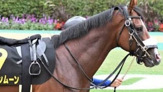 【中山記念】オウケンムーンは右後肢挫石のため回避