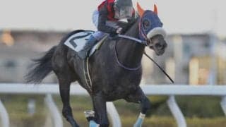 【向春特別】6番人気マーガレットスカイが快勝！ 断然人気プレシャスエースは8着