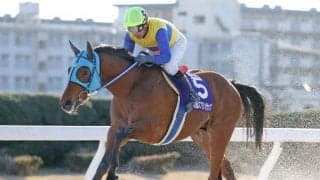 【名古屋・スプリングC結果】ブンブンマルが重賞連勝