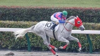 【ドバイ国際競走】タケルペガサスがUAEダービーの招待受諾