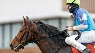 【次走】アリストテレスは引き続きルメール騎手とコンビで阪神大賞典へ
