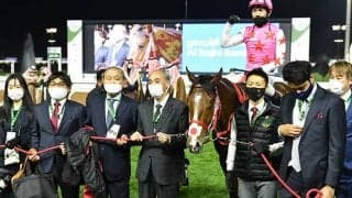 サウジカップデーに出走した日本馬5頭がドバイへ到着