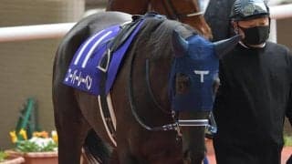 【次走】阪神JF3着ユーバーレーベンはフラワーCへ、チューリップ賞は見送り