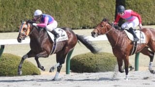 【新馬/阪神4R】8番人気 メイショウサトワがデビューV