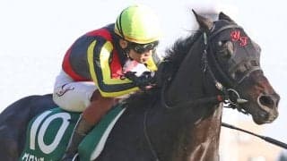 【ダイヤモンドS】三浦「信じて乗っていました」グロンディオーズが重賞初制覇