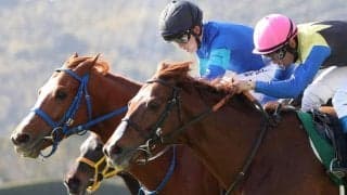 【小倉大賞典】11番人気 テリトーリアルがVで波乱！引退する西浦調教師に花を添える