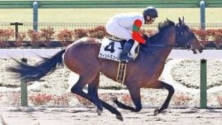 【新馬/東京3R】オルヴェーヴル産駒 ヴィントミューレがデビューV