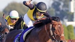 【フェブラリーS】ルメール「本当のカフェファラオでした」カフェファラオがG1初制覇