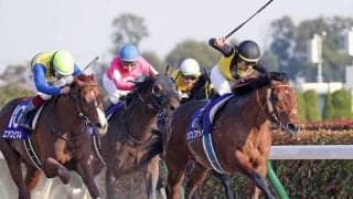 【フェブラリーS】武豊「折り合えば更に伸びた」レース後ジョッキーコメント