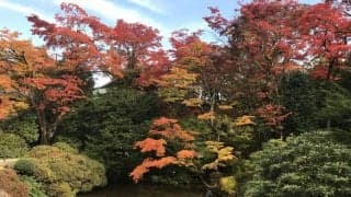 第726回　魅力度最下位は注目度最上位？　執筆者・松本考史