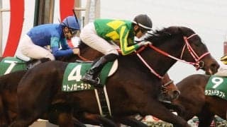 サトノガーネットが競走馬登録抹消