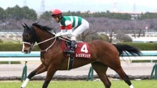 阪急杯は種牡馬の実績を重視。３つの共通点がある牝馬２頭が中心だ