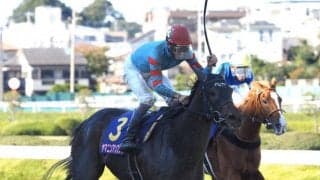 ヤマニンアンプリメが競走馬登録抹消