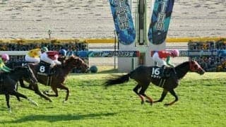 阪急杯は穴党記者が見込んだ３頭が「春一番」並みの高配当を運んでくる