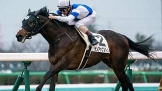 中山記念は勢いある若手騎乗の２頭が有力。穴は大ベテランが操る曲者