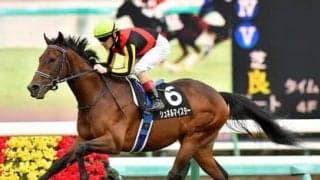 弥生賞でルメールが騎乗。ダノンザキッドに挑むシュネルマイスターの実力