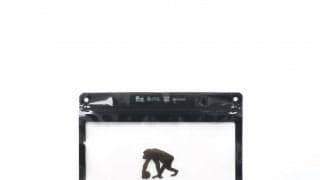 EGOZARU×Pake®︎『The Filler（ザ・フィラー）』登場 - おしゃれでサステナブルなジッパーバッグ