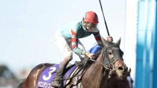 【先週のJRA抹消馬】JpnI勝利のヤマニンアンプリメ、サトノクラウンの半妹ポンデザールなど