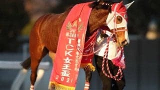 【川崎・エンプレス杯枠順確定】マルシュロレーヌは大外8枠11番、プリンシアコメータは5枠5番