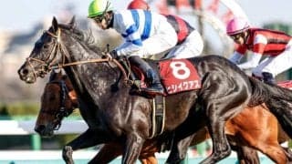 【中山記念】売上は62億1864万1100円で昨年から増加　ヒシイグアスがV