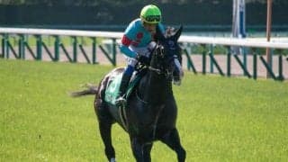 【JRA】トリコロールブルーが予後不良に、28日の調教中に粉砕骨折