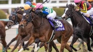 【チューリップ賞見どころ】メイケイエールが重賞3勝目を狙う