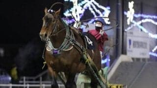 【ばんえい・チャンピオンC結果】5歳馬アオノブラックが人気に応えて圧勝