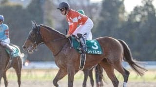 【海外競馬】レッドルゼルはドバイゴールデンシャヒーンの招待受諾、鞍上はR.ムーア騎手