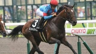 【大阪城Sハンデ確定】ヒンドゥタイムズは56kg、サトノフェイバーは57kg