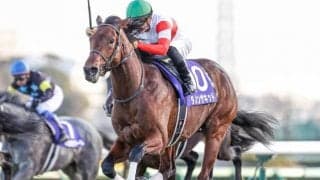 【弥生賞ディープ記念 予想オッズ】ダノンザキッドが断然人気、続くのはシュネルマイスター