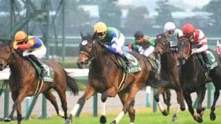 【チューリップ賞展望】桜花賞に繋がるトライアル、阪神JF組強し