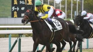 【チューリップ賞 出走馬決定順】フルゲート18頭に12頭の登録で除外なし　2頭は自己条件にも登録