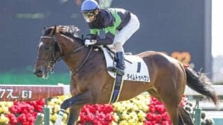 【弥生賞ディープ記念 出走馬決定順】フルゲート18頭にダノンザキッドら12頭の登録で除外なし