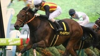 【オーシャンS出走馬決定順】フルゲート16頭に20頭の登録　2頭は他レースにも登録