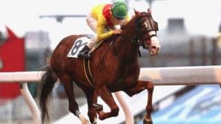 【日吉OP】9番人気の伏兵ロードヴァンドールが押し切って地方初勝利！ 佐々木仁調教師は通算800勝達成