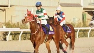 【エンプレス杯】枠順と見どころ マルシュロレーヌは8枠11番