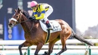 【次走】クライミングリリーはフローラSに向かう見込み　全兄は重賞馬ギベオン