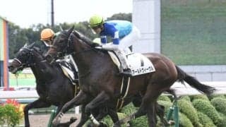 【次走】アールドヴィーヴルは引き続き松山弘平騎手とのコンビで桜花賞へ