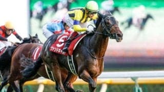 【次走】ヴァンドギャルドはC.デムーロ騎手とのコンビでドバイターフへ