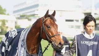 【海外競馬】オーストラリアのセールでロードカナロア産駒が90万豪ドルで落札